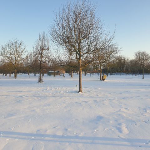 winter op kruytenburg