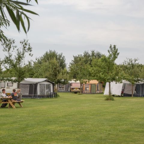 Landschapscamping Kruytenburg — photo 7